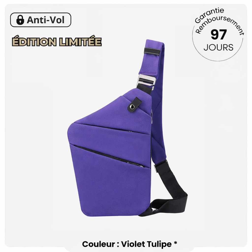 The Compact - Antivol intelligent